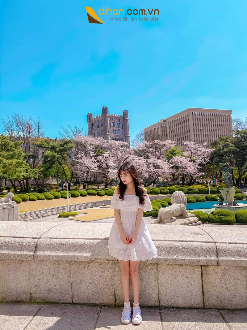 Chân dung xinh đẹp cô nàng du học sinh 