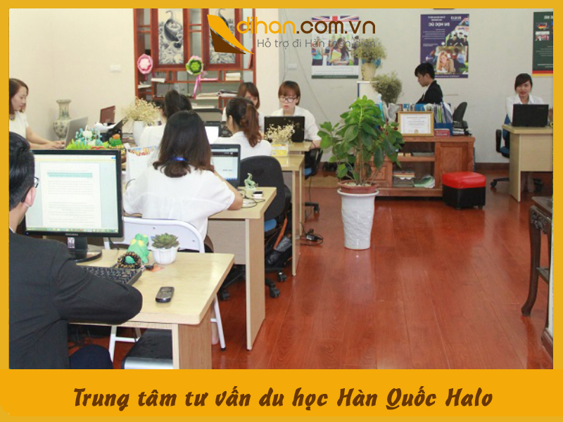 Trung tâm tư vấn du học Hàn Quốc Halo