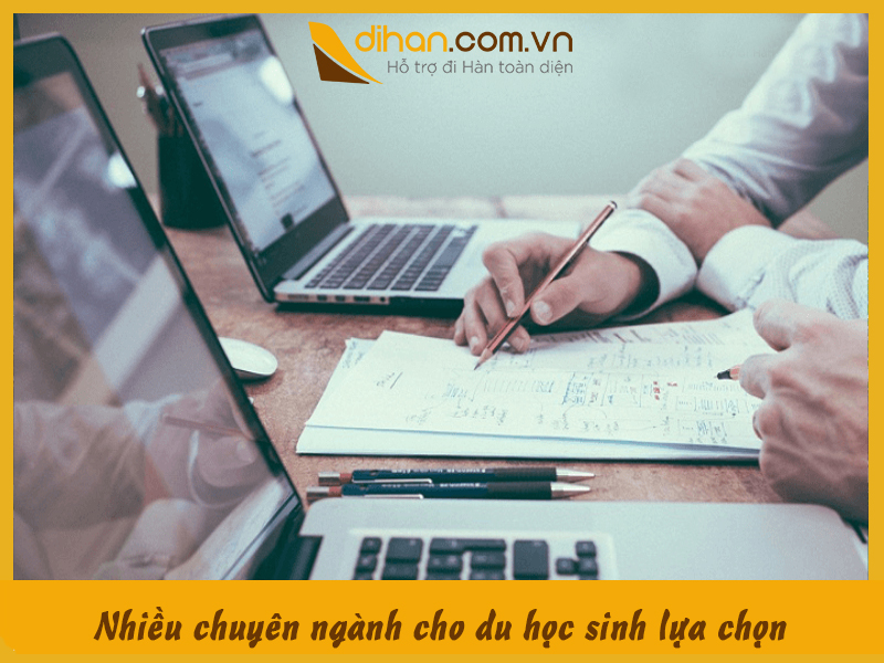 Nhiều chuyên ngành cho du học sinh lựa chọn