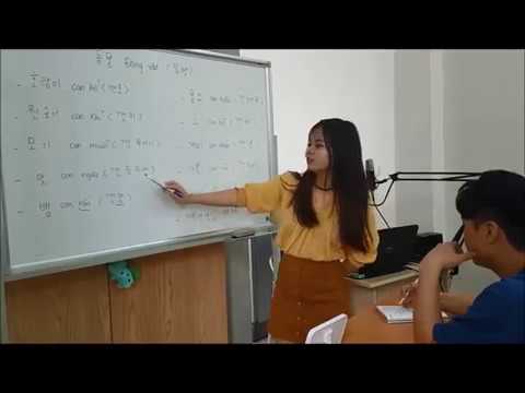 Gia sư Tiếng Hàn trường học tại Hà Nội
