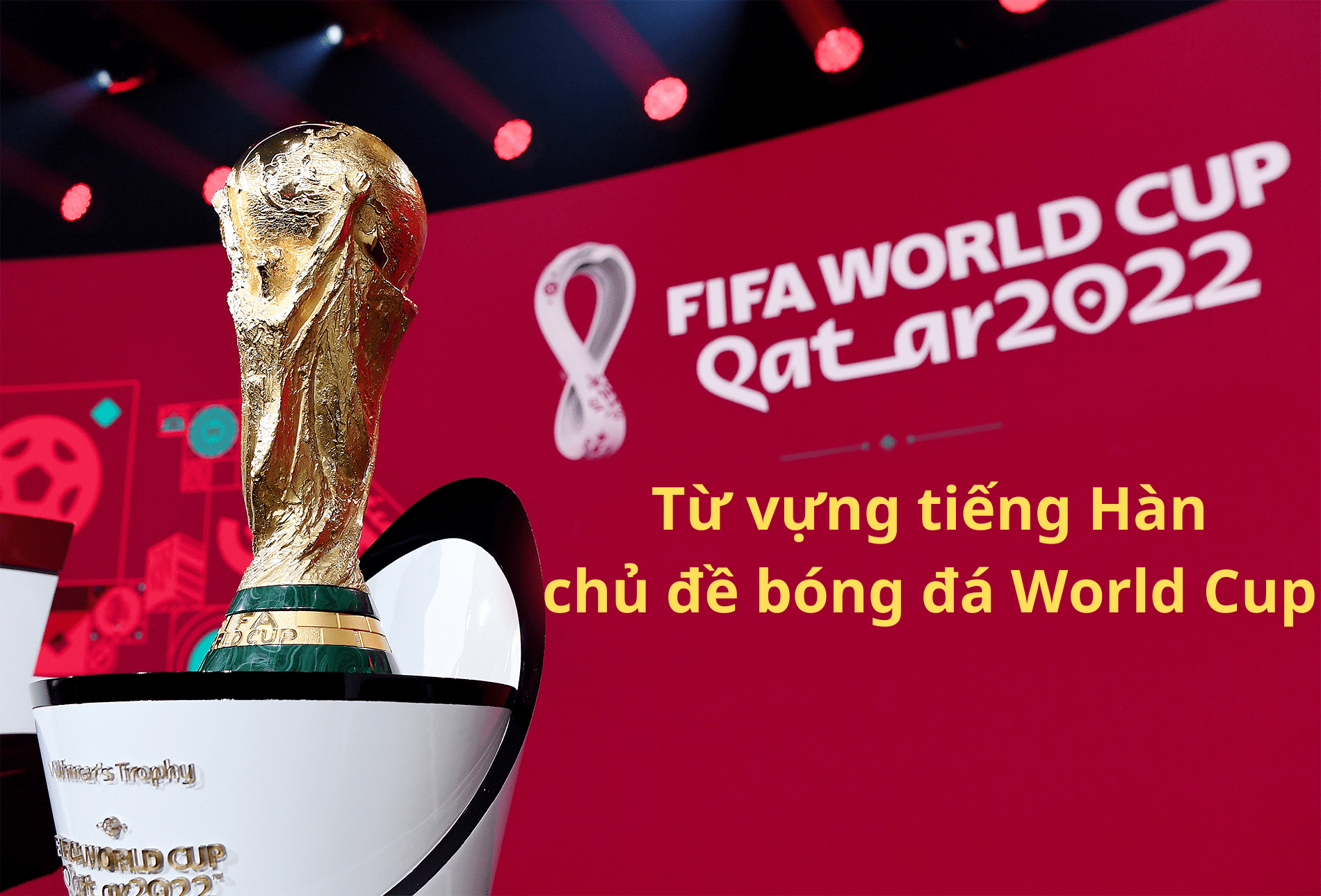 Từ vựng tiếng Hàn chủ đề bóng đá World Cup