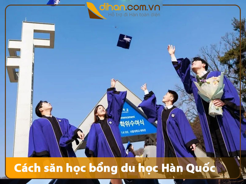 Cách săn học bổng du học Hàn Quốc: Hướng dẫn chi tiết từ A–Z