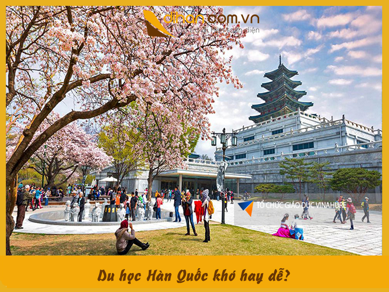 Đi du học Hàn Quốc dễ hay khó? Lưu ý trước khi quyết định